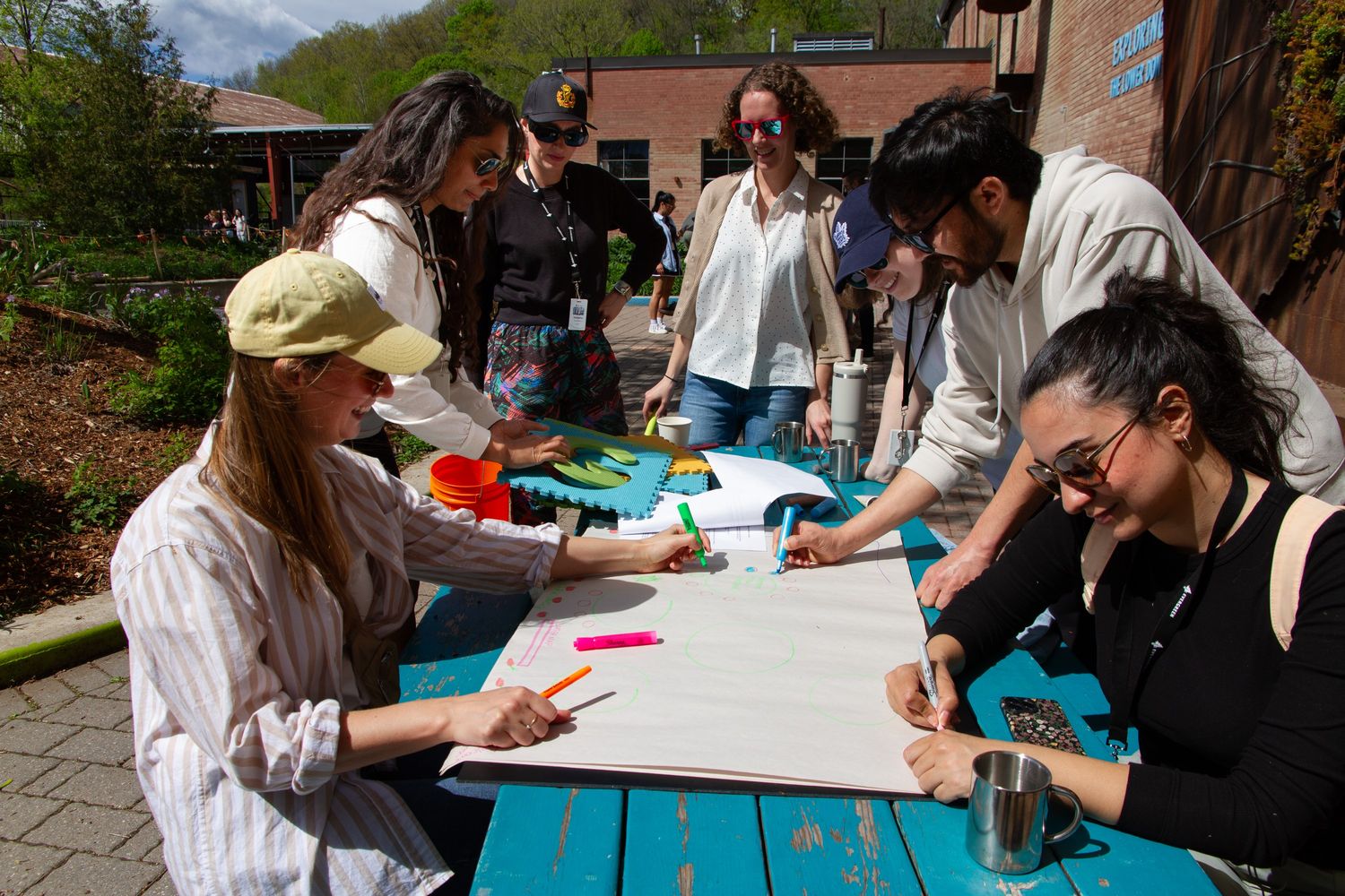 7 men and women work together to draw shapes using colourful markers on a large piece of paper outside