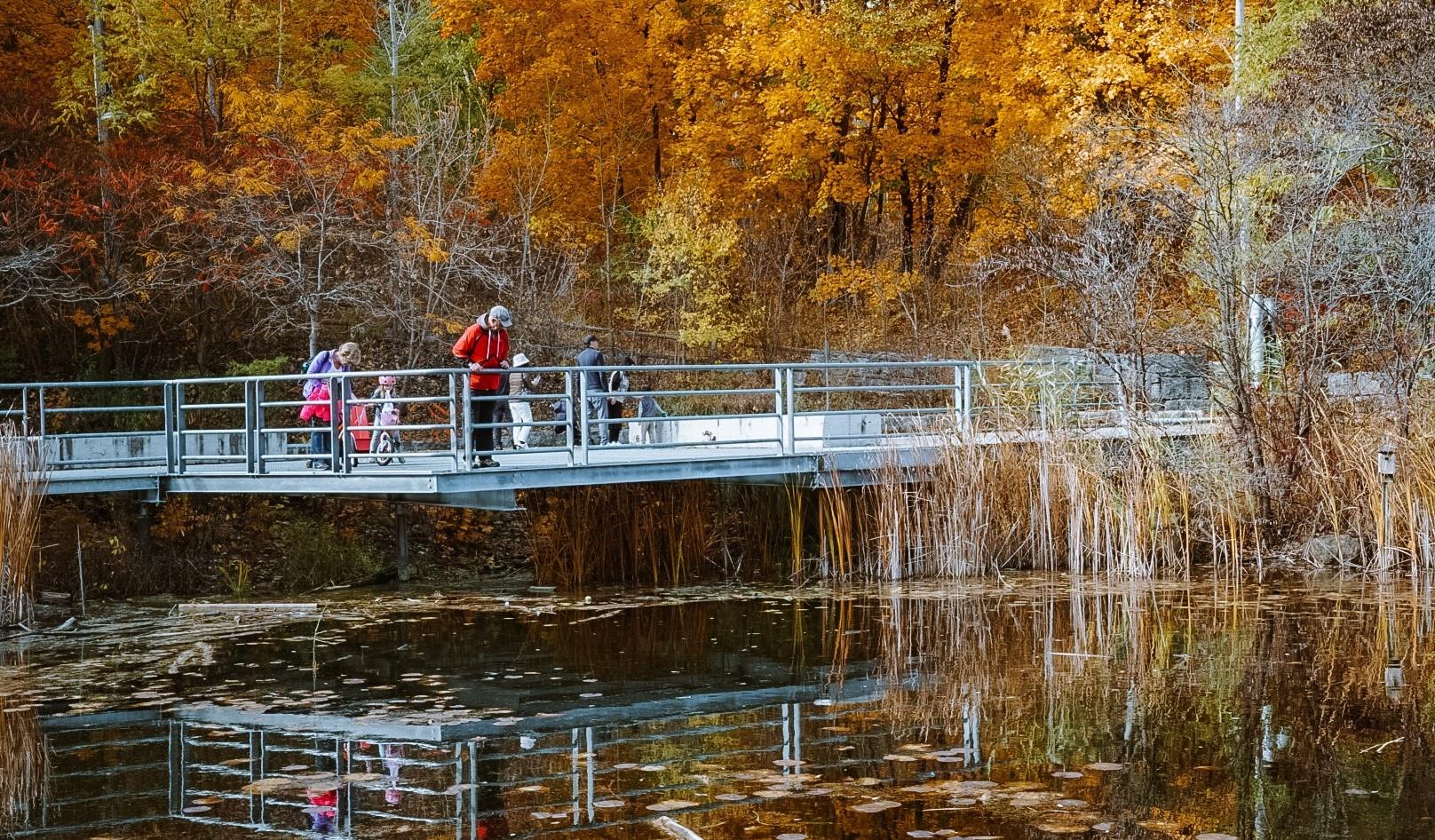 Un groupe d'adultes et d'enfants regardant un étang avec les feuilles colorées des arbres en arrière-plan.