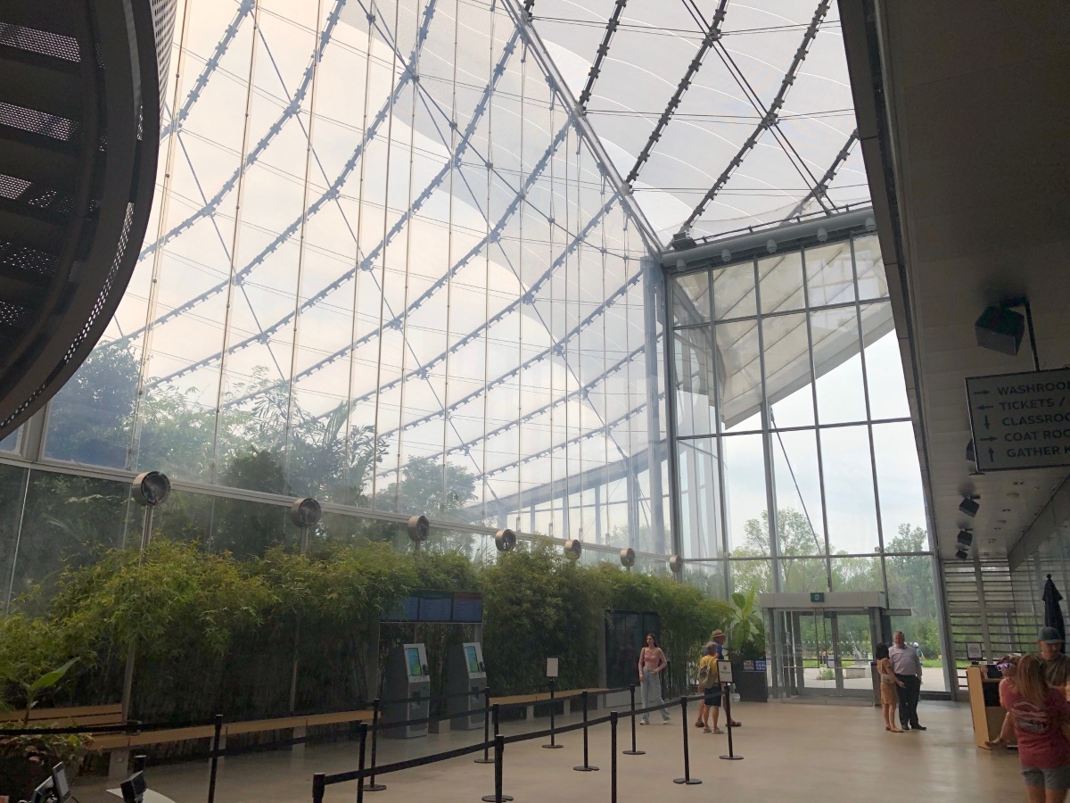 The atrium at the Leaf