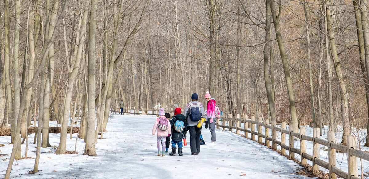 marchbreakcamp_2025_fatima_ali-banner2