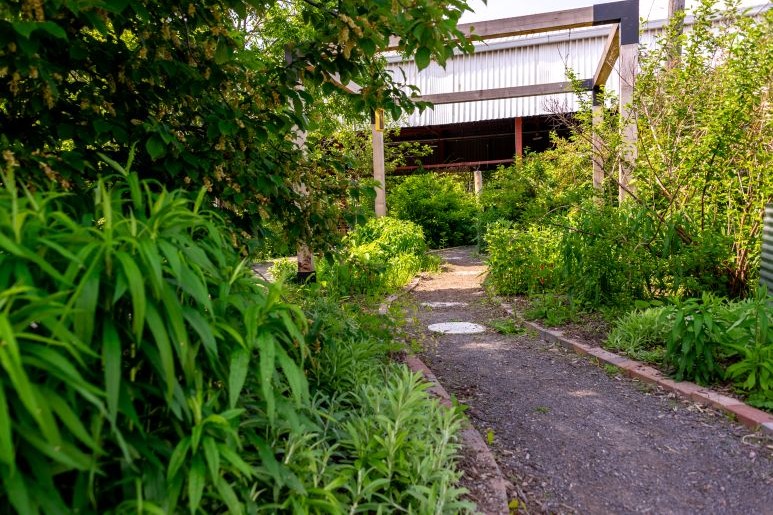 Pollinator garden at Evergreen Brick Works