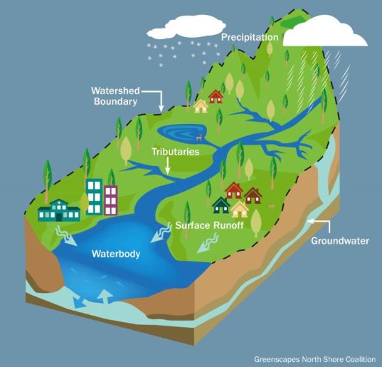 diagram giving an explanation of what is a watershed