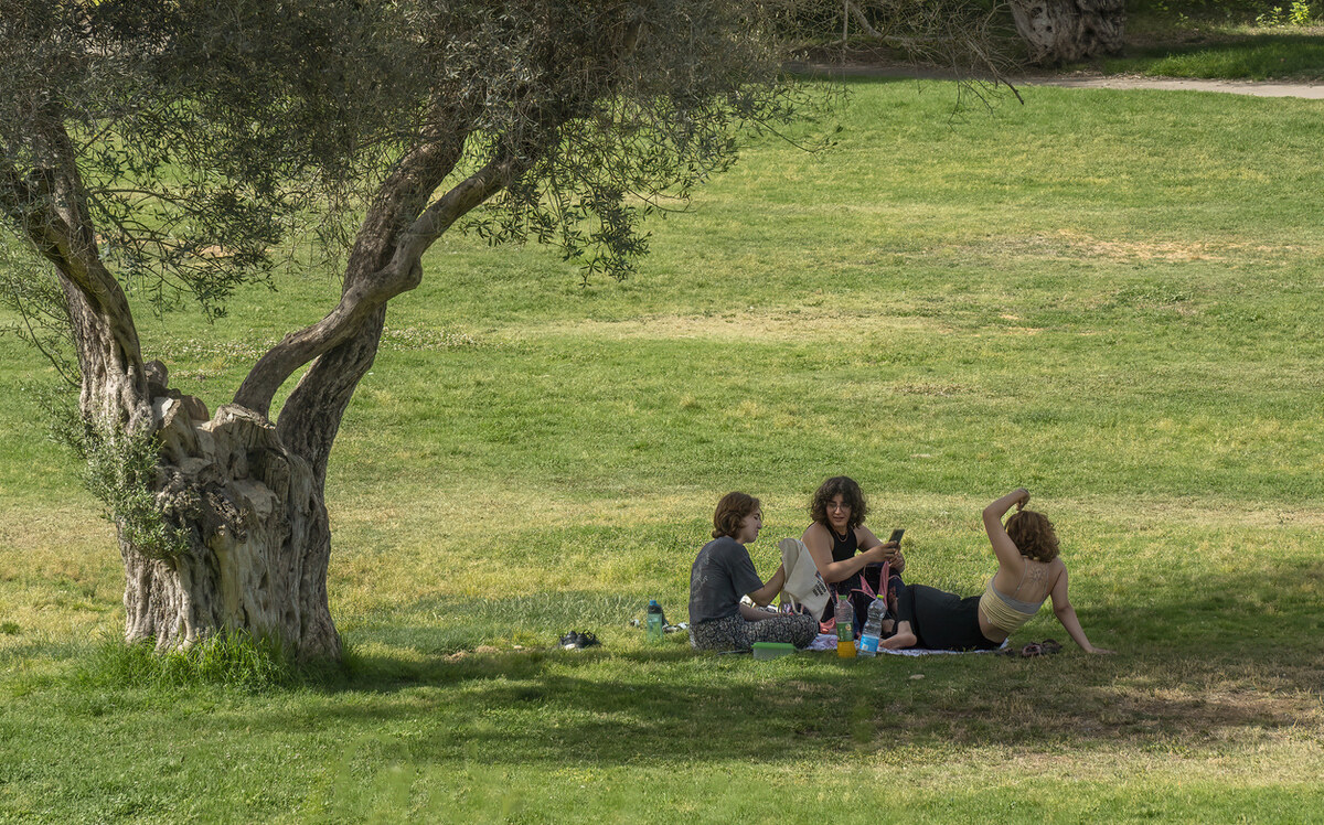young-women-at-a-picnic