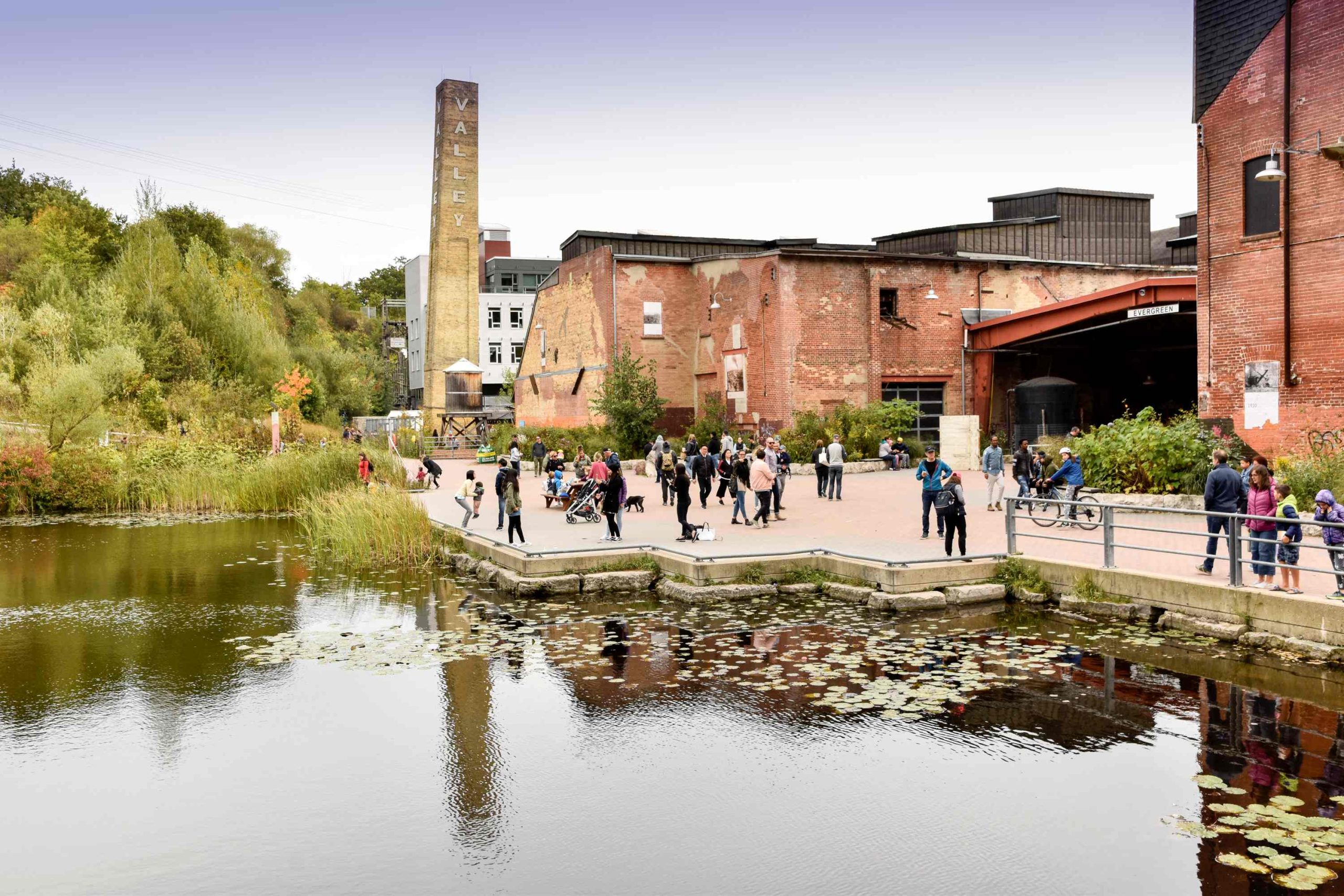 harvestapplefestival_andreadavidova_2019-10