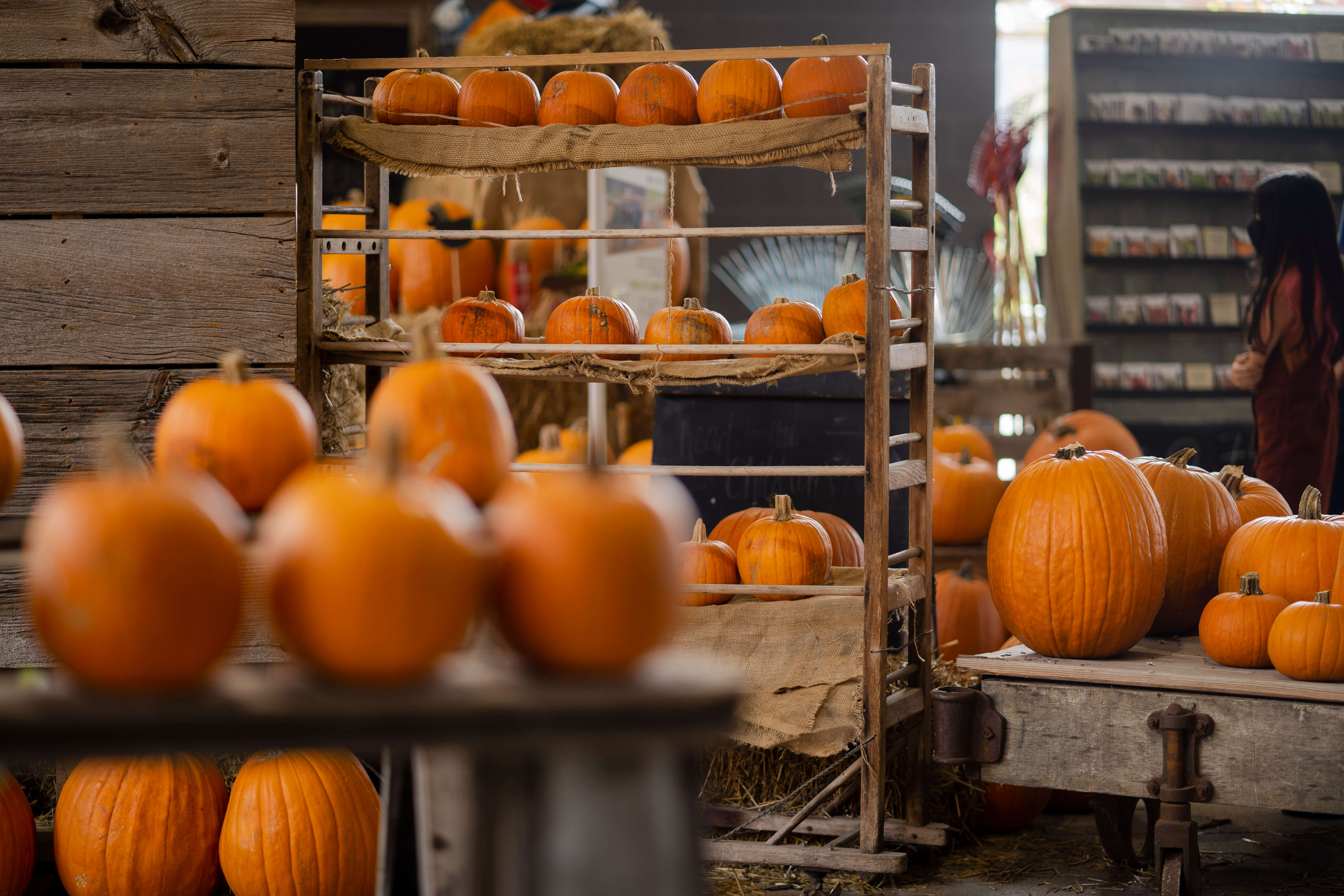 Garden Market pumpkins