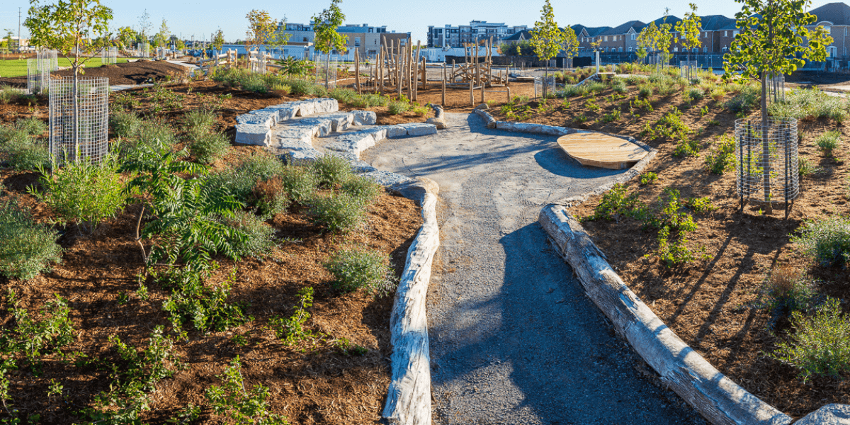 School ground transformation showing pathways with natural features and lots of green shrubs and trees