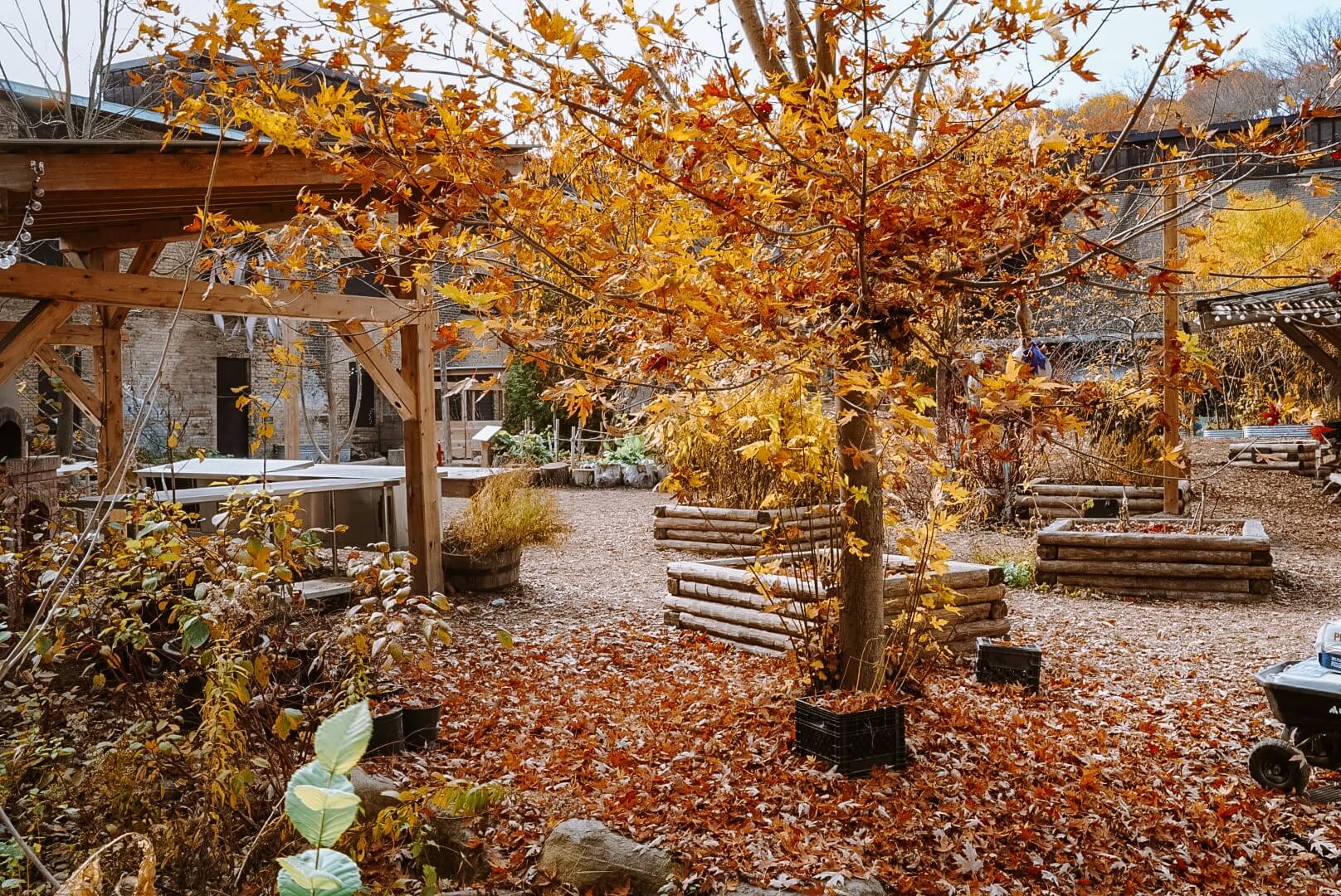 Fall in the children's garden