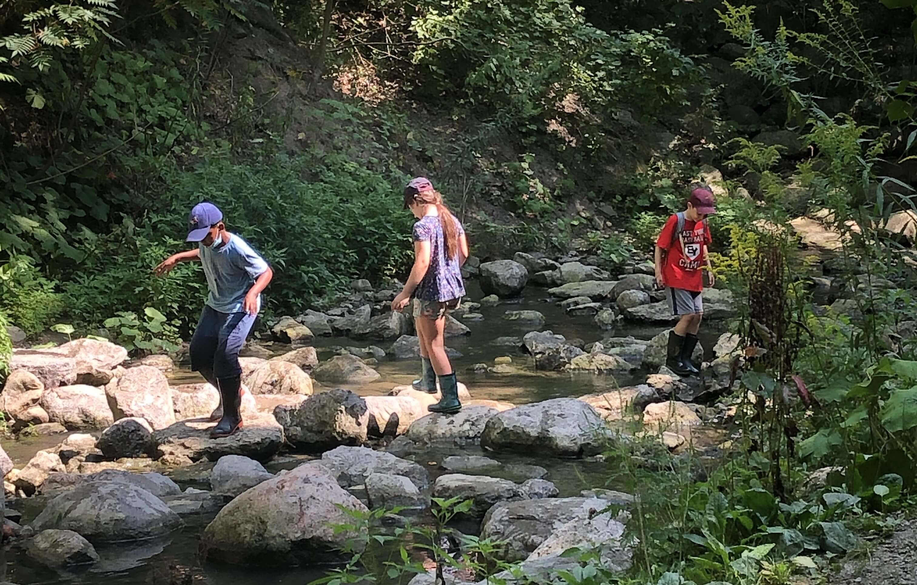 kids walking in ravine next to stream with dense trees behind them