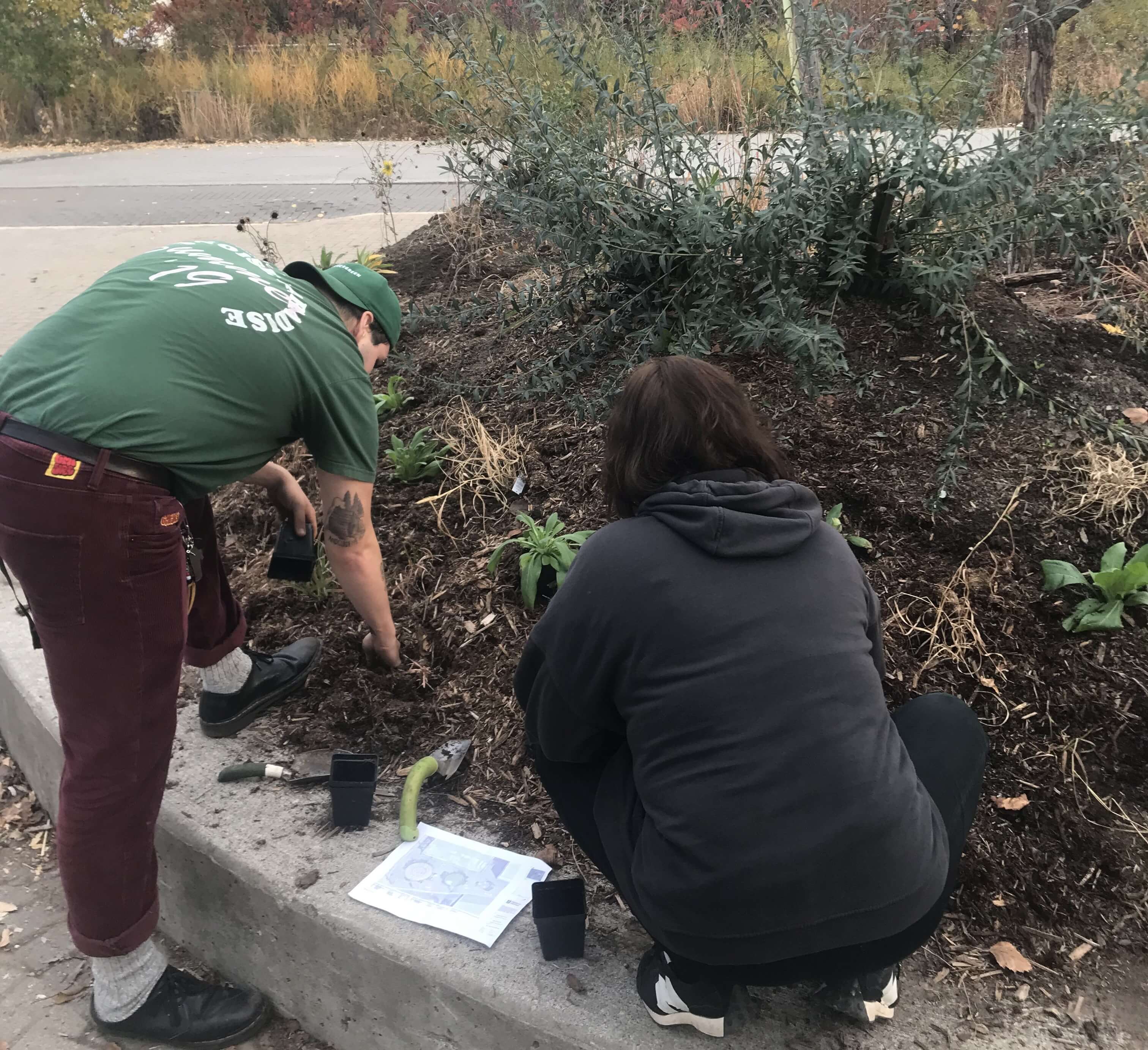 Two people work on garden