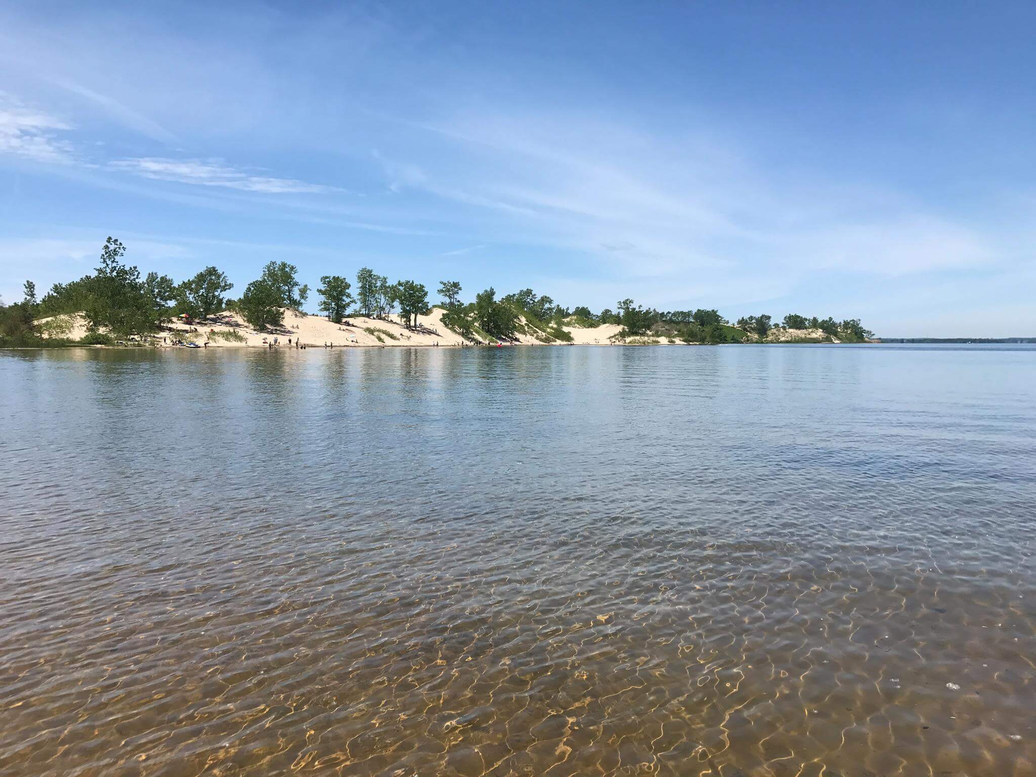 Beach under blue skies showing large sand dunes in water with trees coming out of dunes