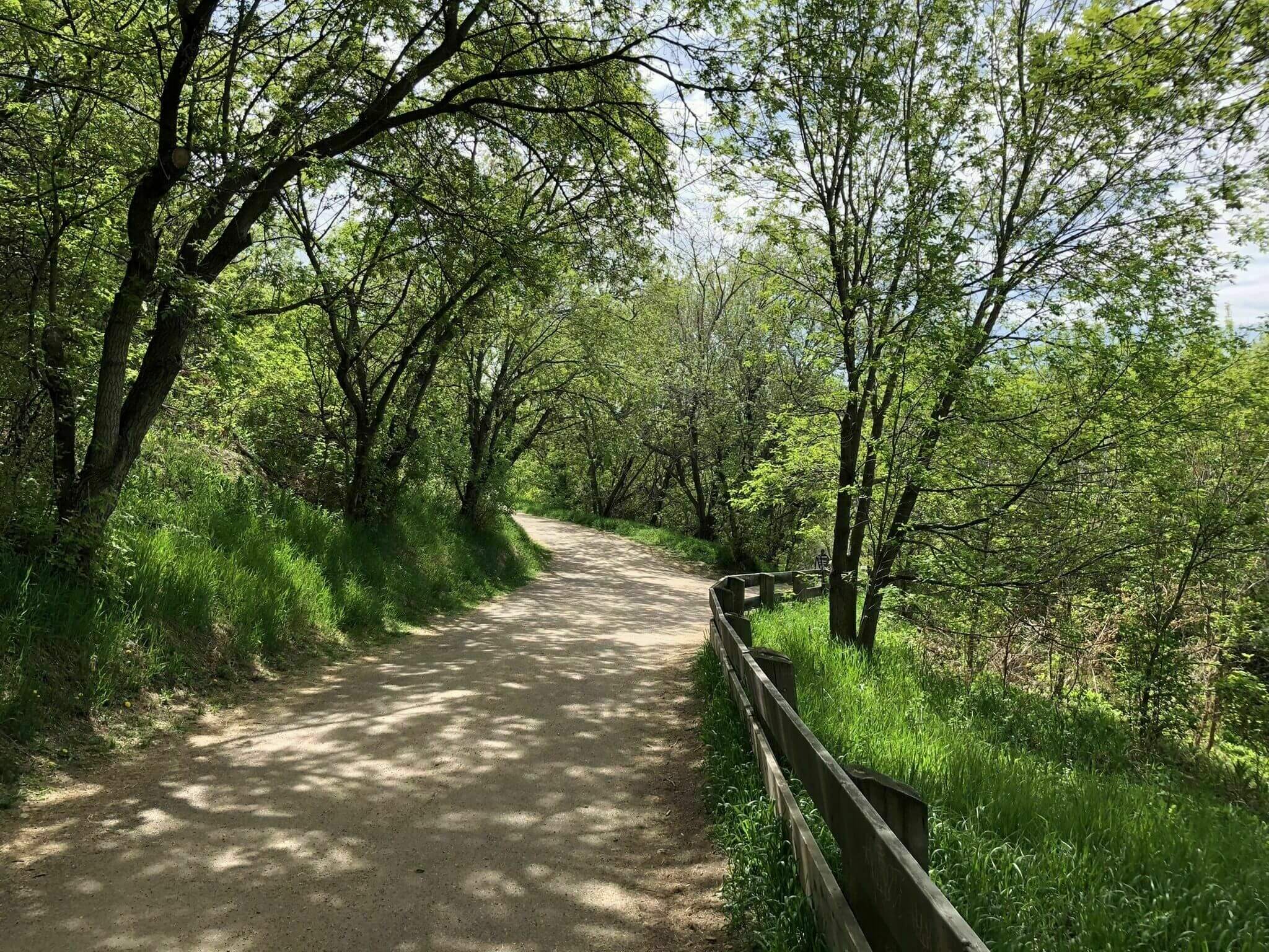 Edmonton's River Loop Trail