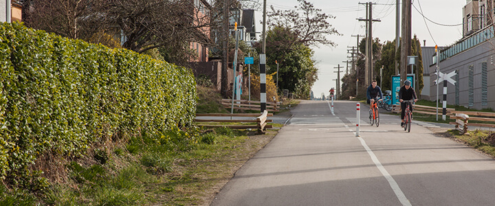 Two cyclists on a paved pathway surrounded by plants in an urban environment.