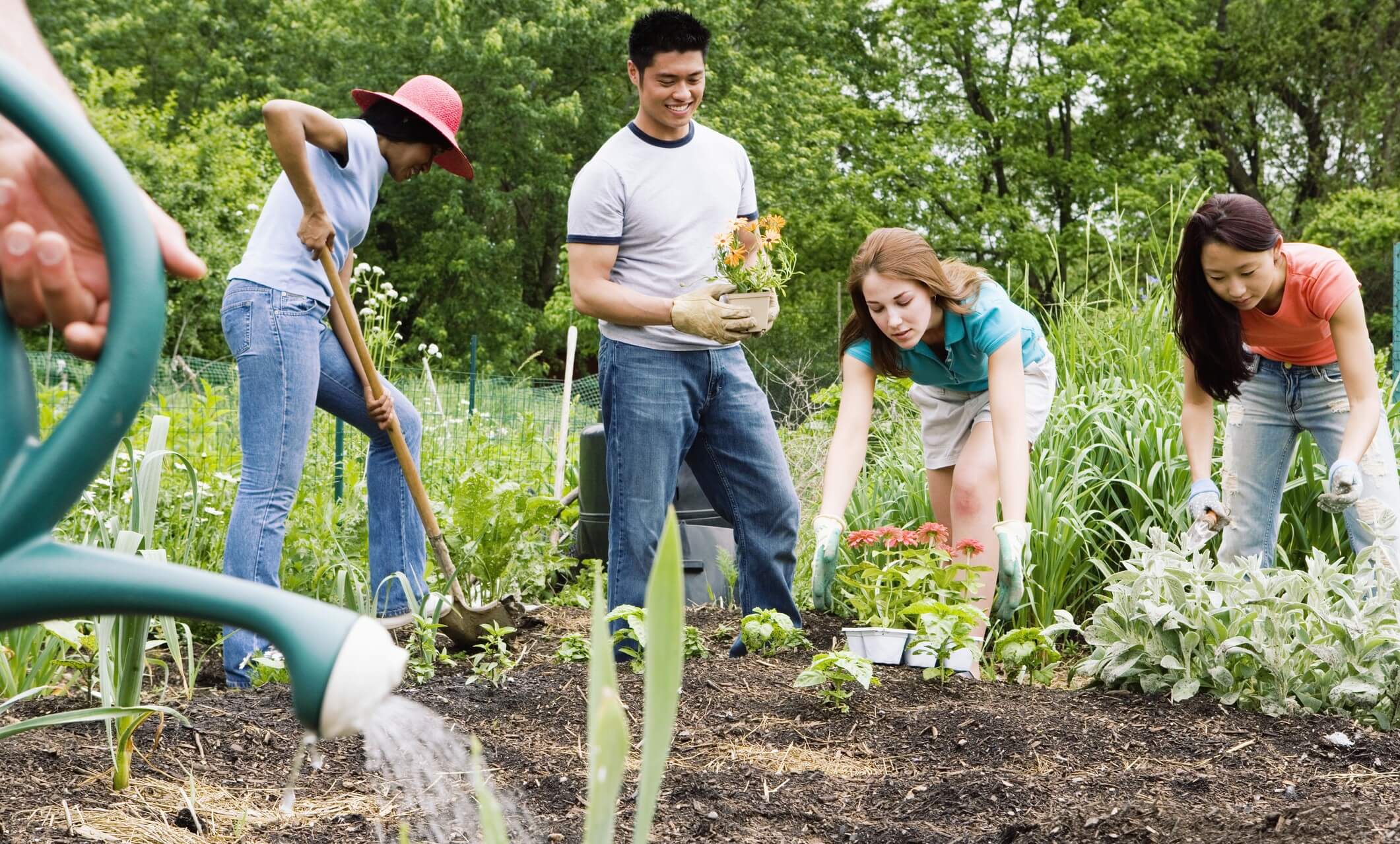 Group of young adults gardening 