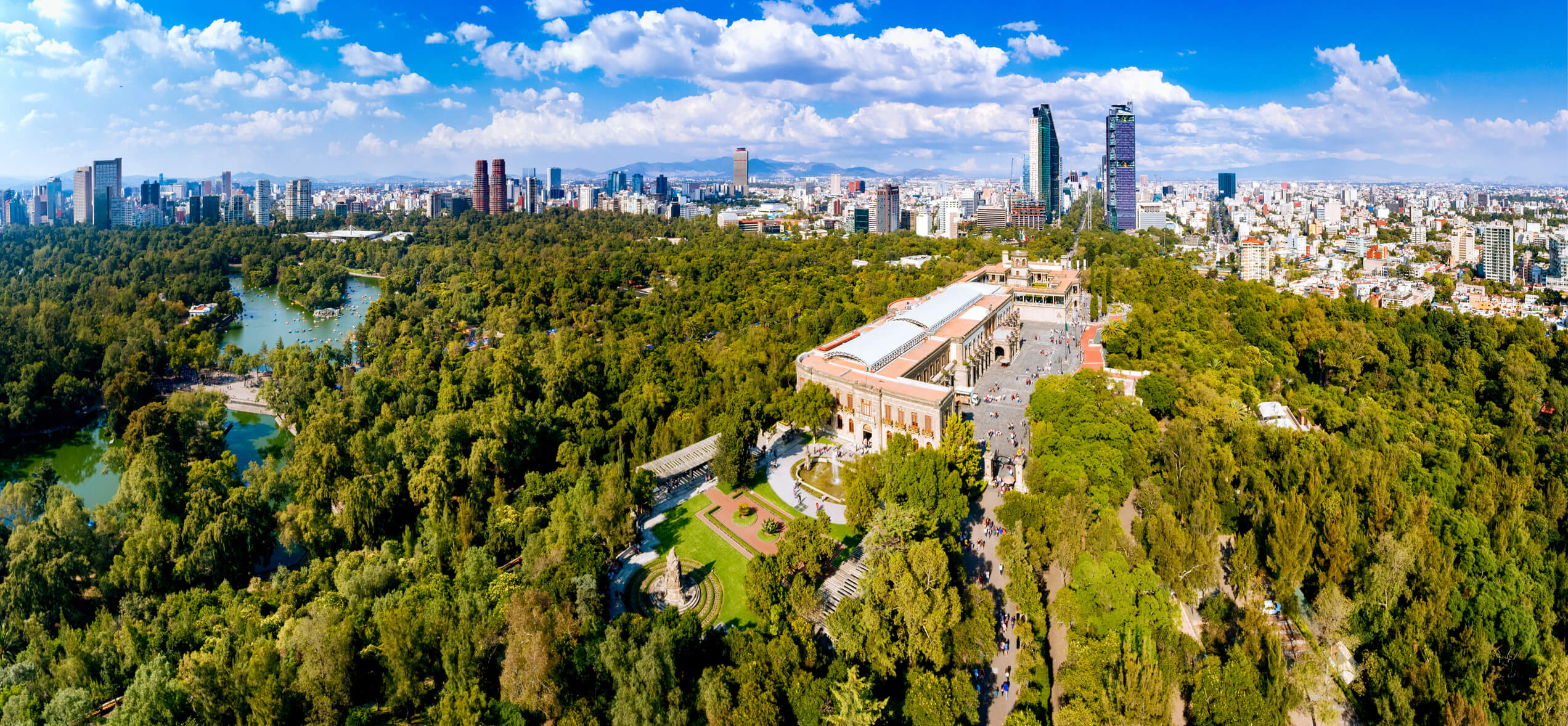 An expanse of forrest, with Mexico City in the background